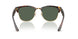 1359VR - Tortoise - Dark Green