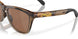 928407 - Brown - Prizm Tungsten