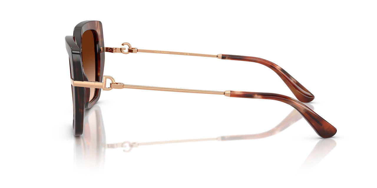 322274 - Tortoise - Brown Gradient