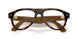 6905M4 - Tortoise - Clear/brown