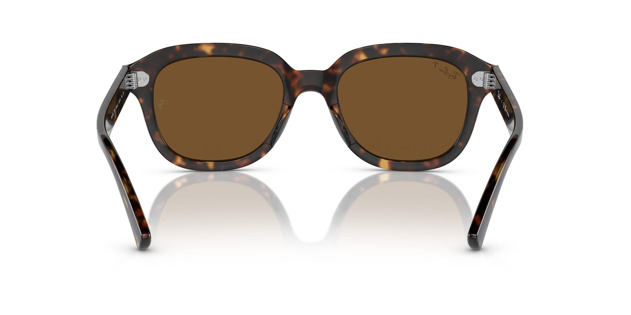 902/57 - Tortoise - Brown