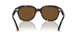 902/57 - Tortoise - Brown