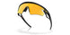 949908 - Black - Prizm 24k Polarized