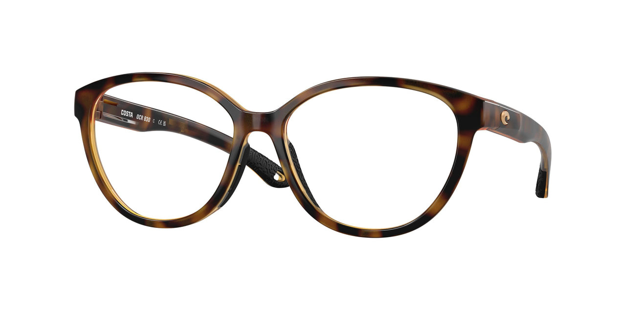 802503 - Tortoise