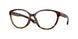 802503 - Tortoise