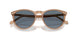 31894Y - Brown - Blue Polar
