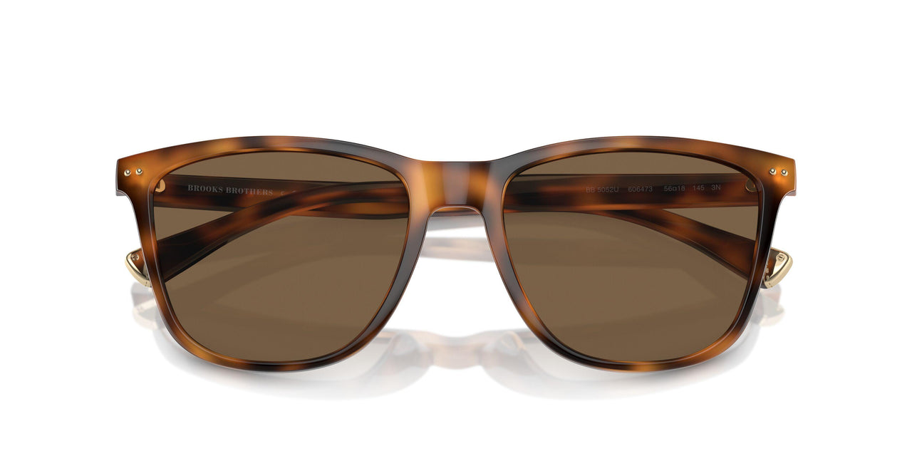 606473 - Tortoise - Dark Brown