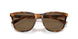 606473 - Tortoise - Dark Brown