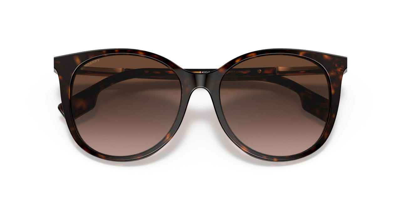 300213 - Havana - Brown Gradient