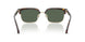 108/71 - Brown - Dark Green