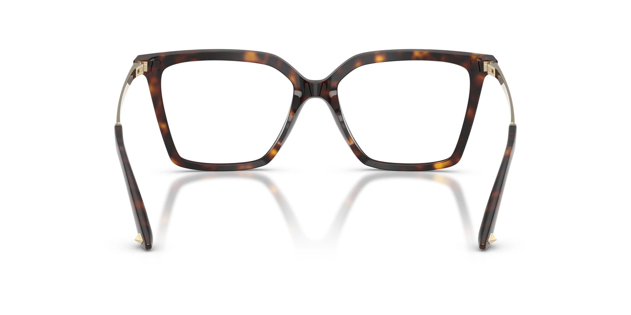 5002 - Tortoise