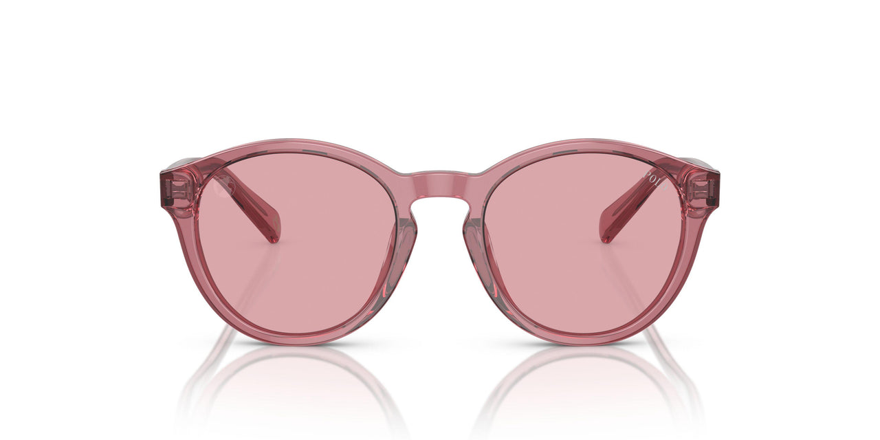 522084 - Pink - Rose