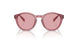522084 - Pink - Rose