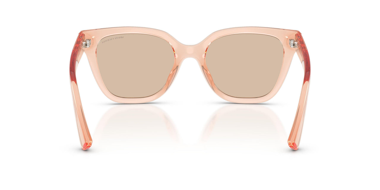 839593 - Pink - Light Brown