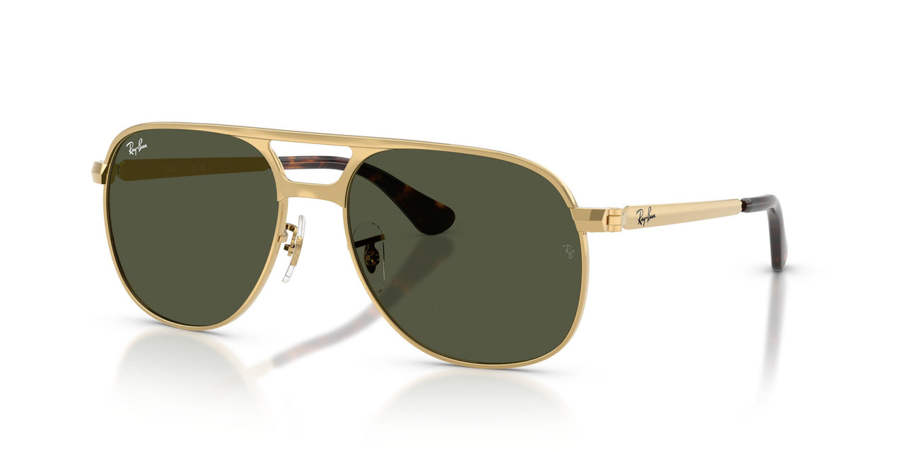 Ray-Ban Bill Max 3793 Sunglasses