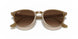 616613 - Light Brown - Brown Gradient