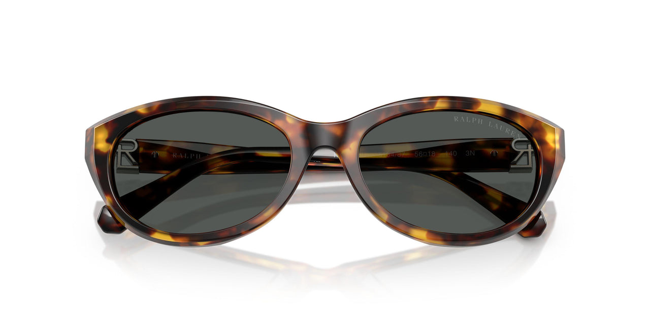 513487 - Tortoise - Grey