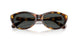 513487 - Tortoise - Grey