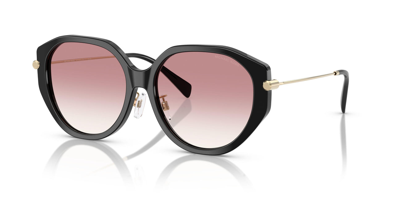 30058D - Black - Pink Gradient