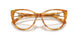 6051 - Tortoise