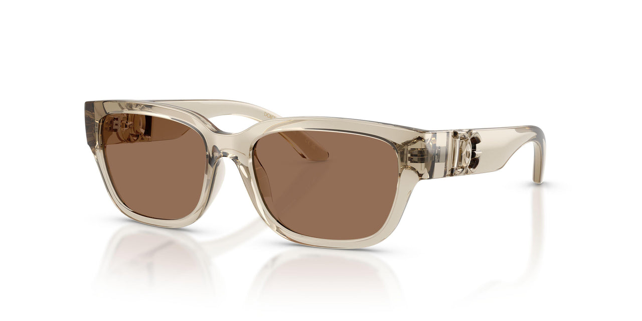 329173 - Brown - Dark Brown