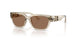 329173 - Brown - Dark Brown