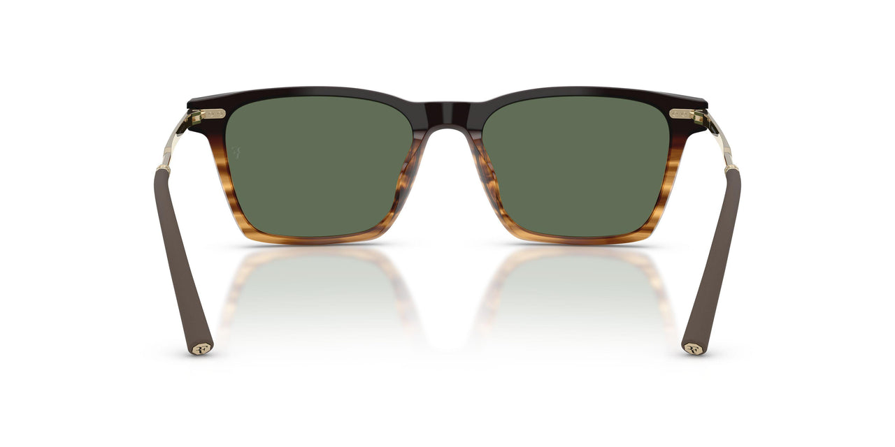 13929A - Brown - G-15 Polarized