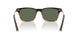 13929A - Brown - G-15 Polarized