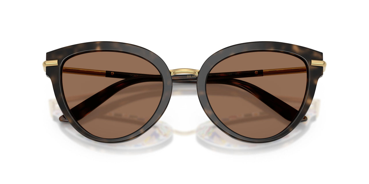 321713 - Tortoise - Dark Brown