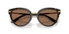 321713 - Tortoise - Dark Brown