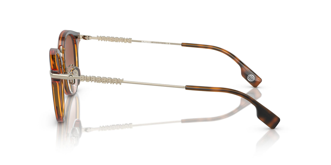 300213 - Brown - Brown Gradient