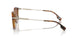 300213 - Brown - Brown Gradient