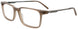 10 - Light Brown