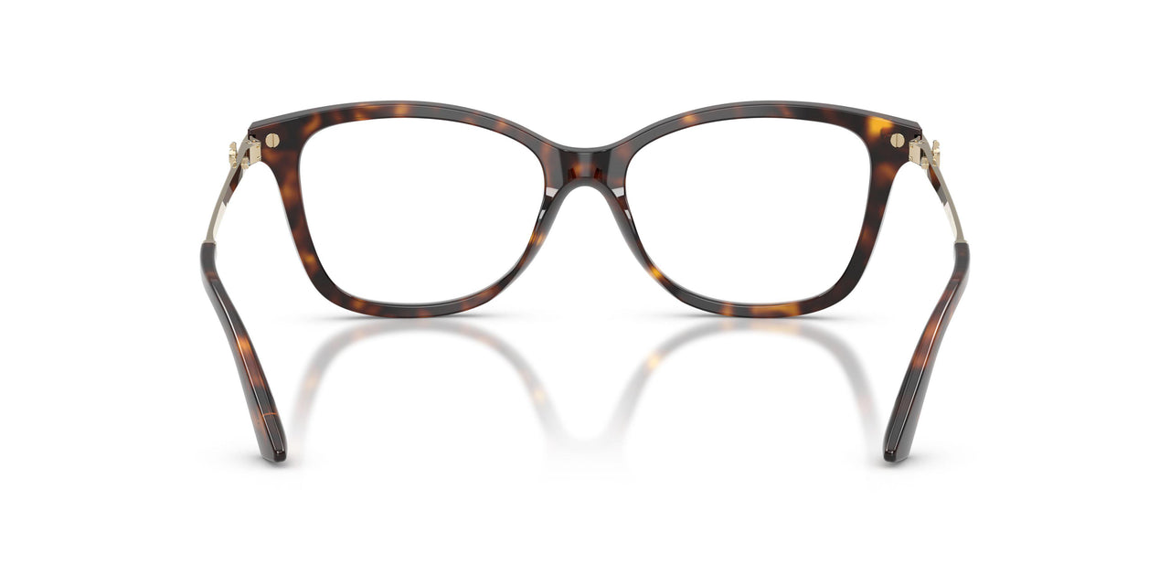 5002 - Tortoise