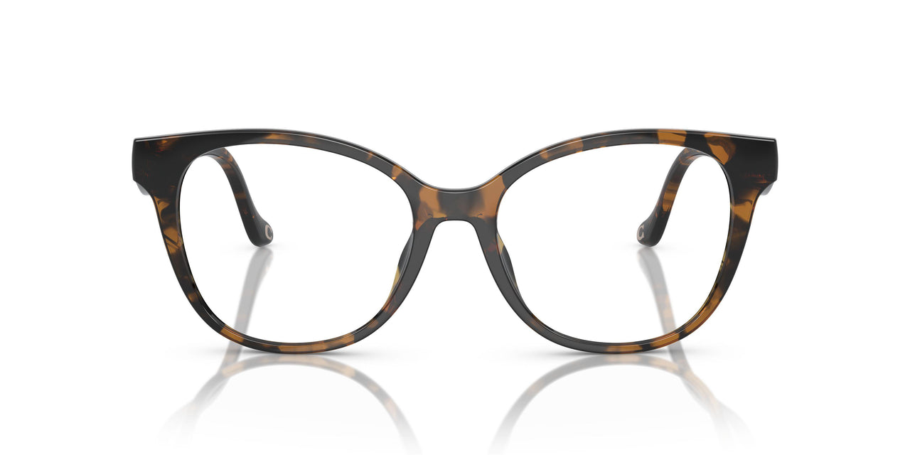 5120 - Tortoise