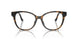 5120 - Tortoise