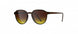 6330 - MORNING COFF./BROWN - SLM Yellow Brown Gradient