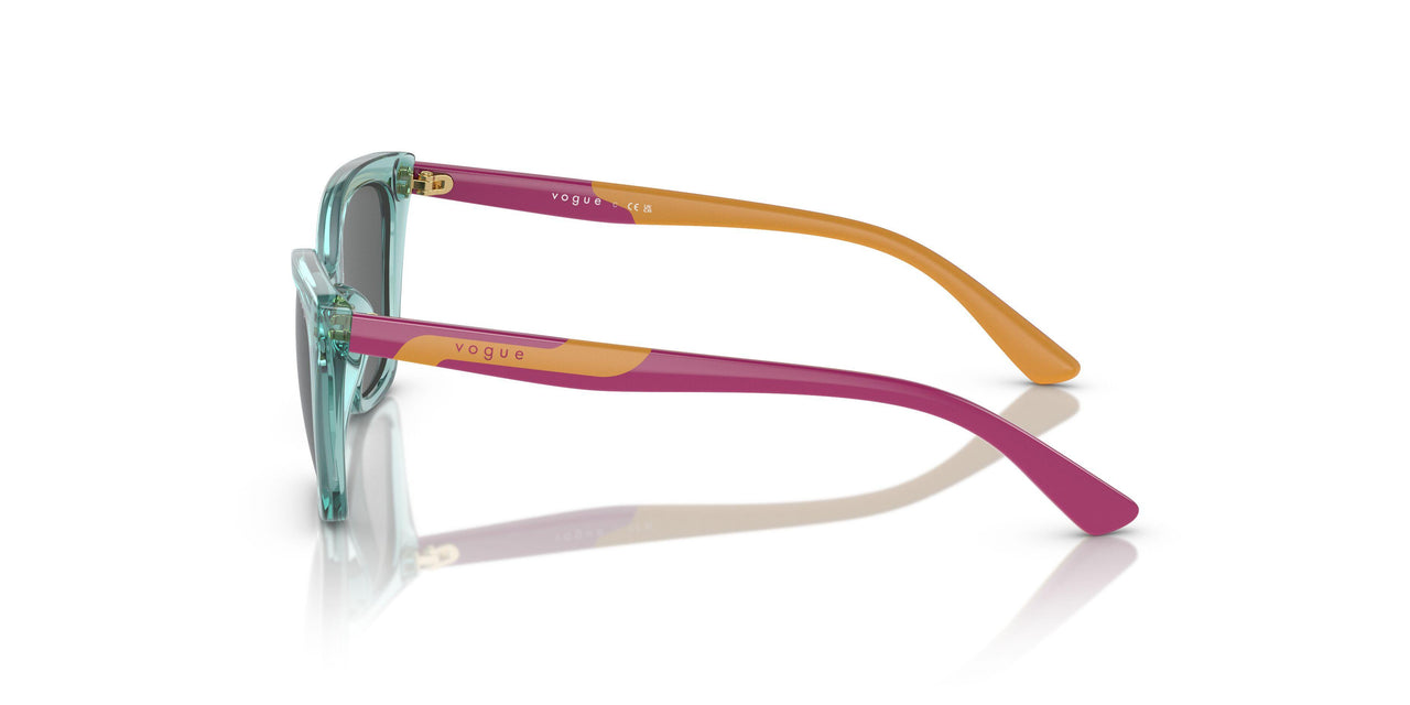 303287 - Transparent Sage - Dark Grey