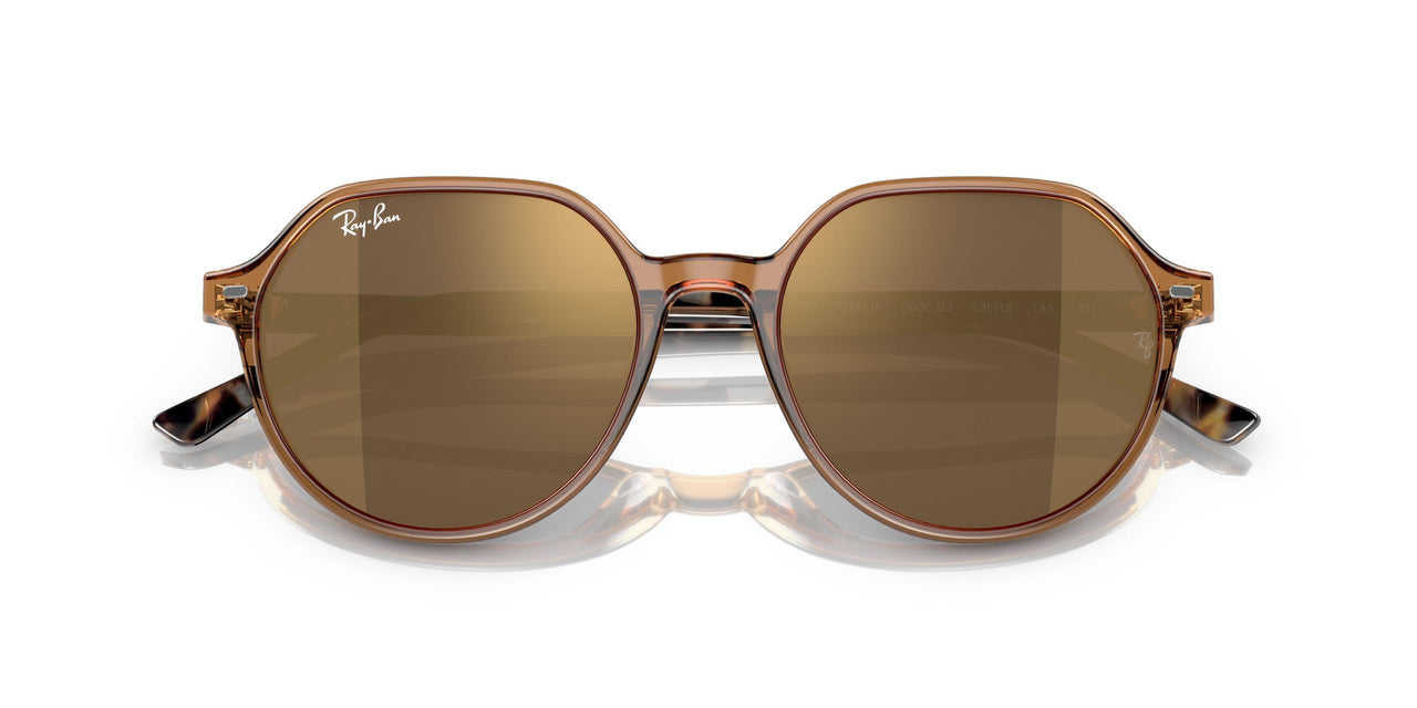 663693 - Brown - Light Brown Mirror Gold