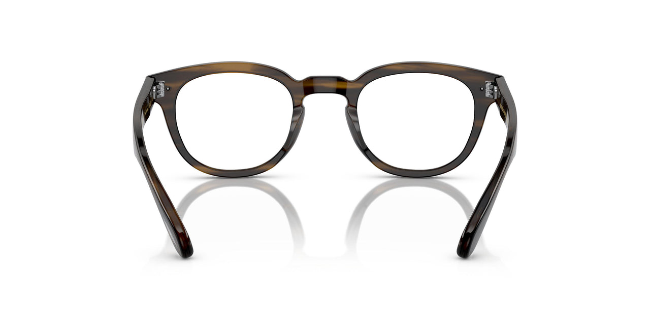 1677 - Brown