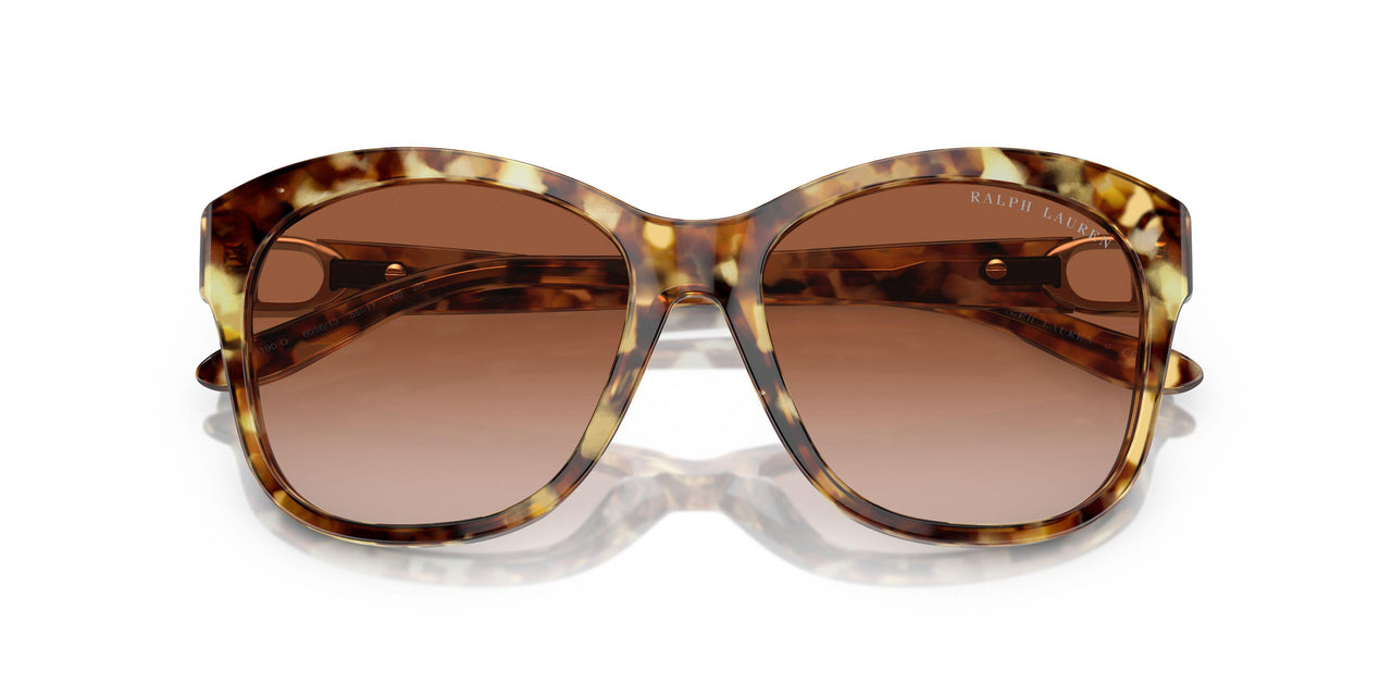 605613 - Tortoise - Gradient Brown