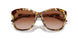 605613 - Tortoise - Gradient Brown