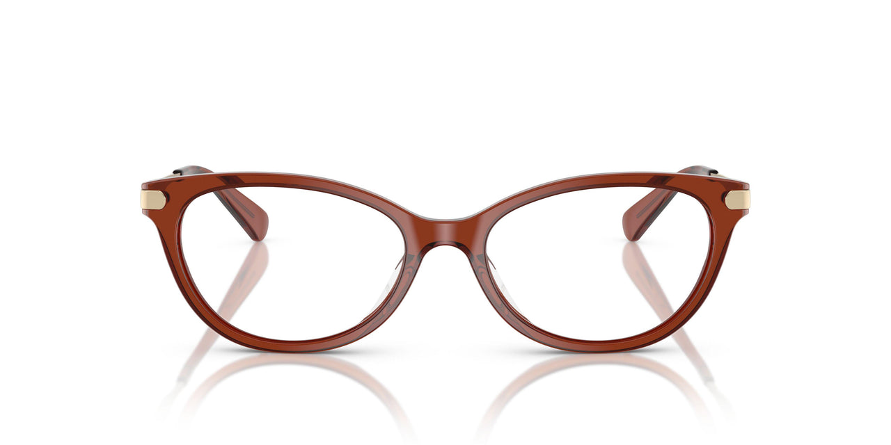 5847 - Brown