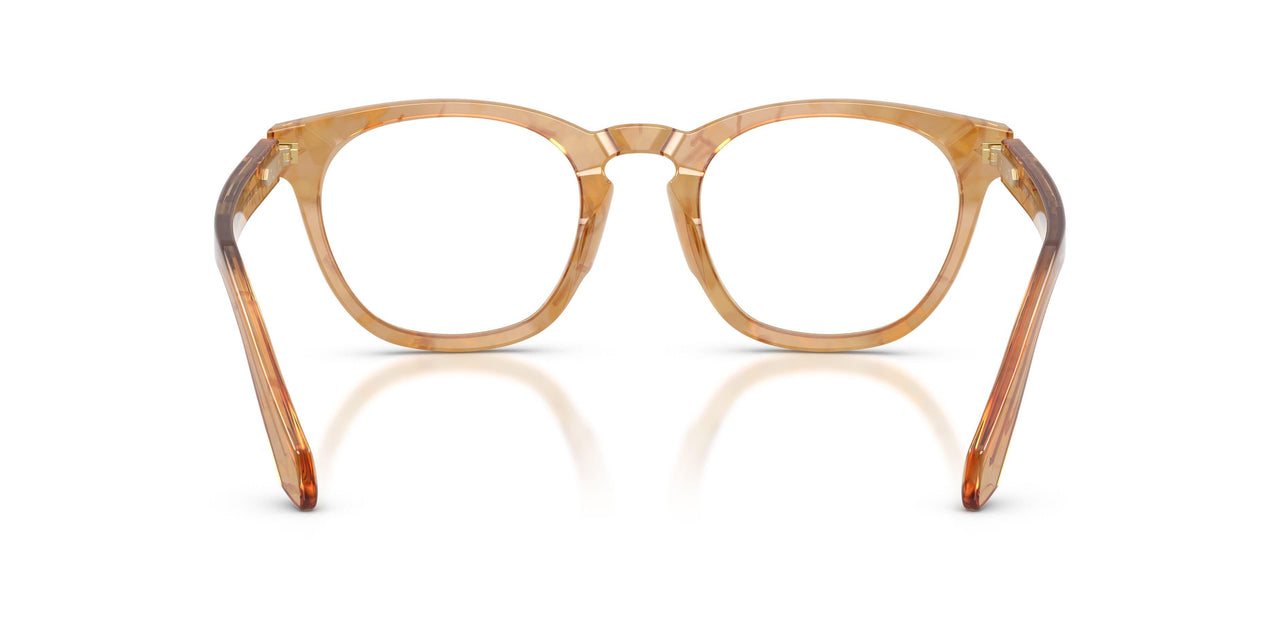 6300 - Tortoise