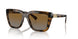 2386T5 - Brown - Gradient Brown Polarized