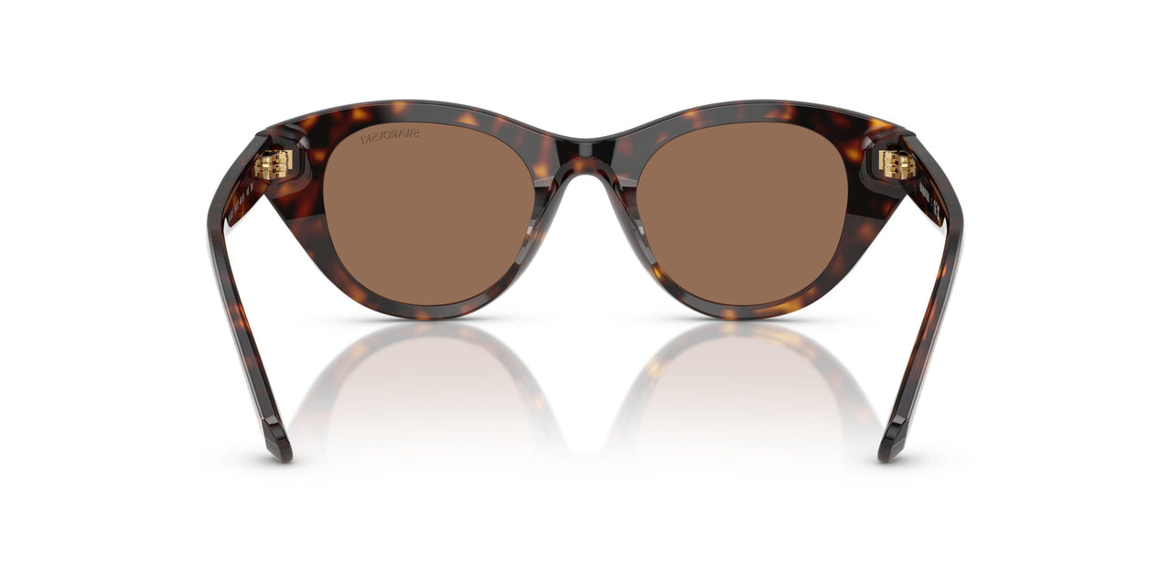 100273 - Tortoise - Dark Brown