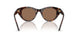 100273 - Tortoise - Dark Brown