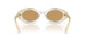21R10Y - White - Brown