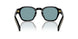 16K04D - Black - Polarized Green
