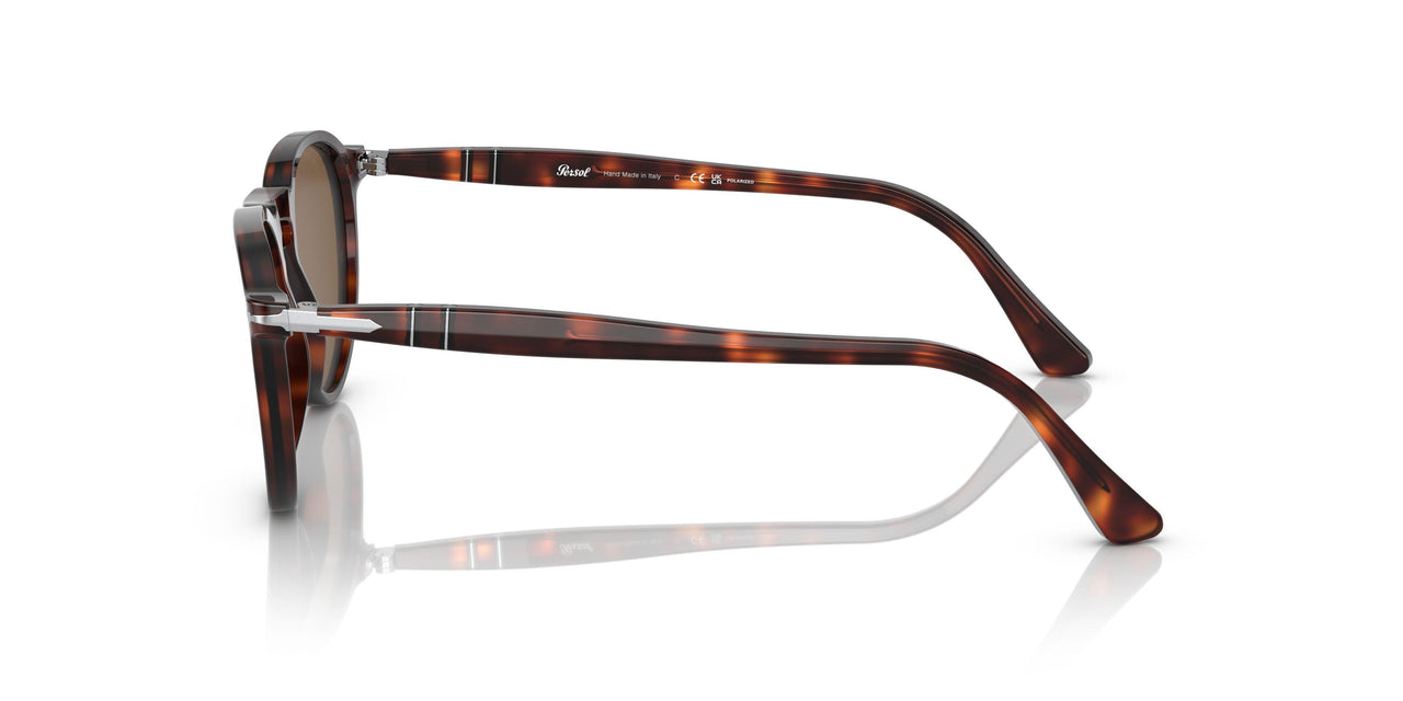24/57 - Tortoise - Polar Brown